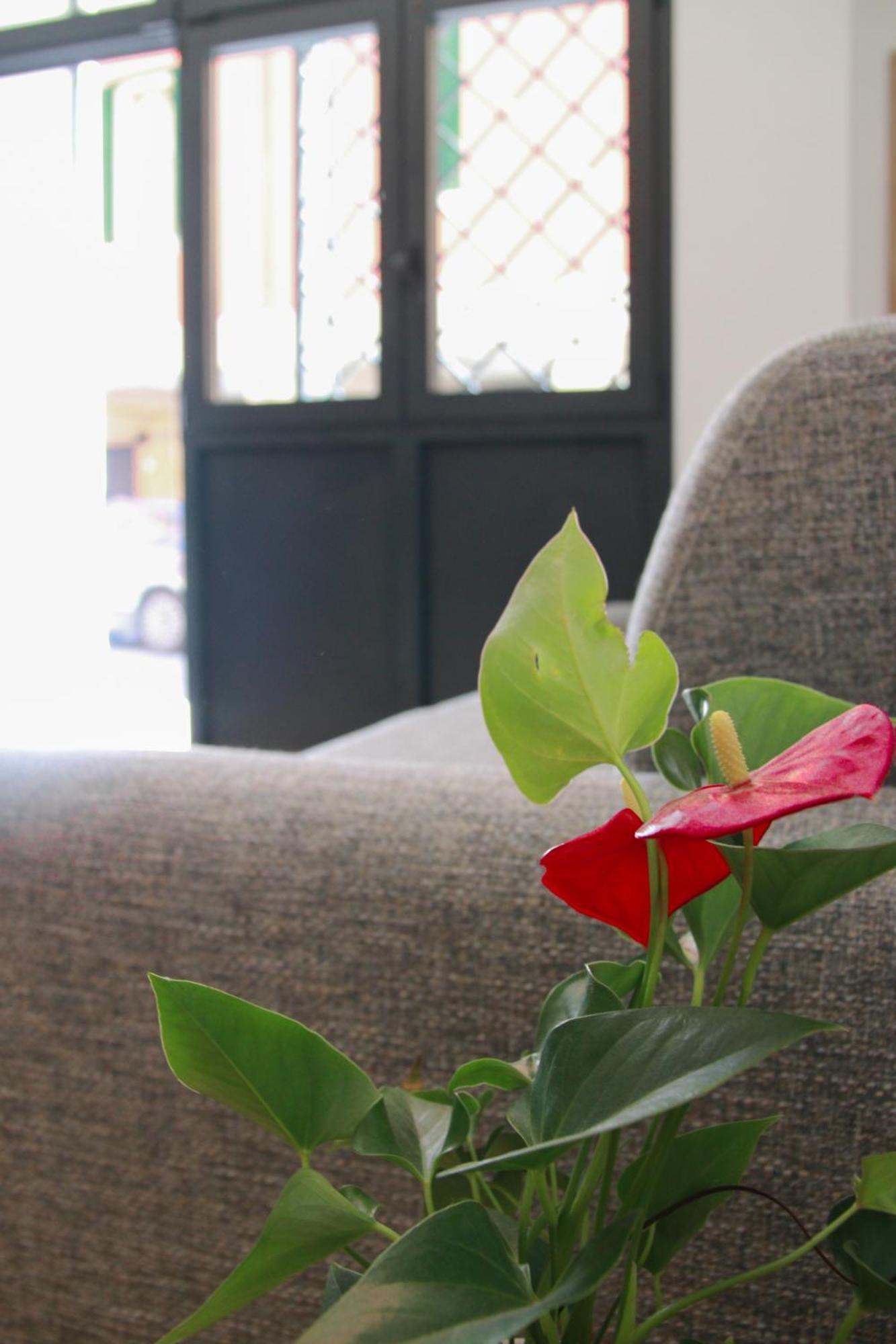 U Zone Apartment Bologna Kültér fotó